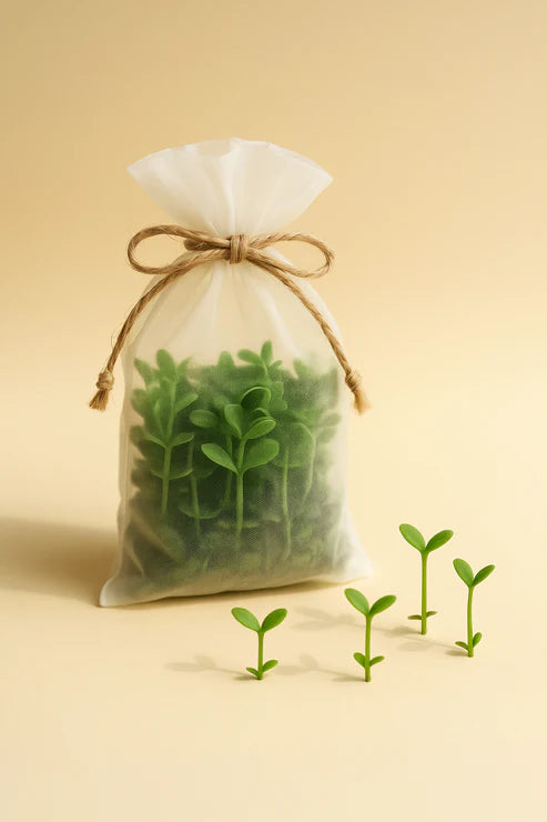 Cashback Verde